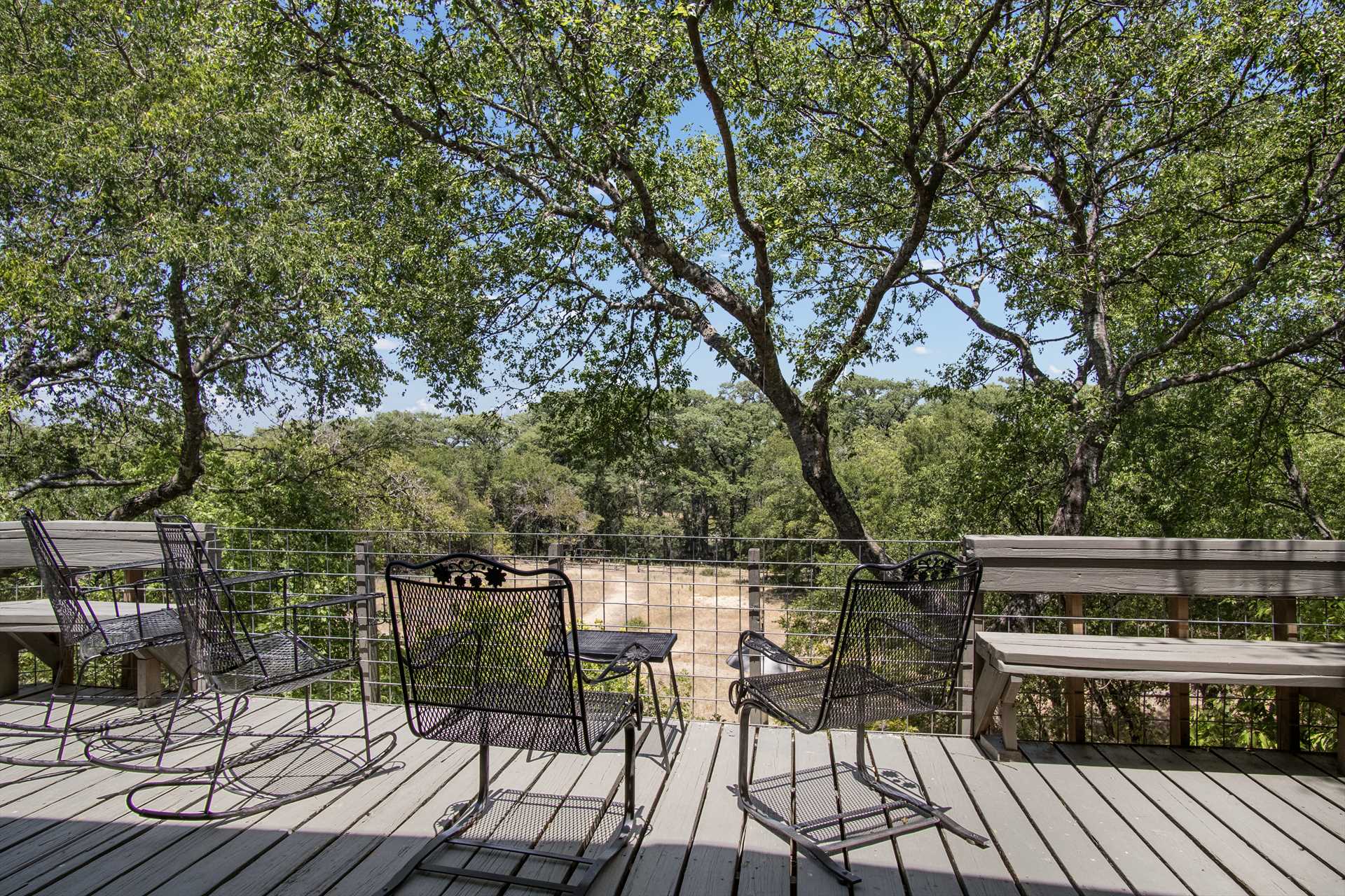                                                 Wildlife and plenty of bird species can be spotted from your comfy perch on the shaded deck!