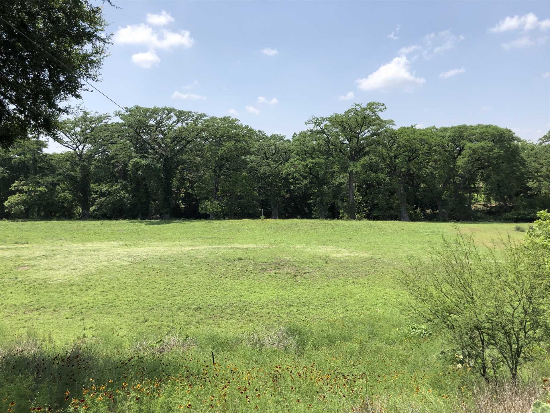                                                 Here's the meadow between the cabin and the Medina. It's also a great open space for kids to play and explore! The property also includes a fire pit and charcoal grill for snacks and BBQ feasts.