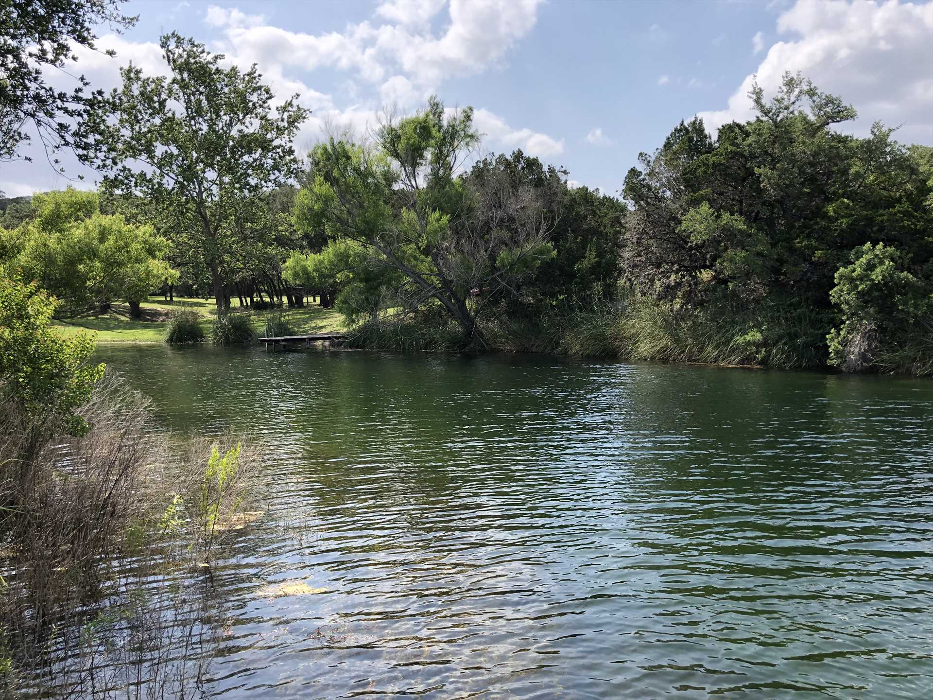                                                 55 acres of Hill Country beauty, with private access to a peaceful, bubbling creek...it's a nature-lover's paradise!
