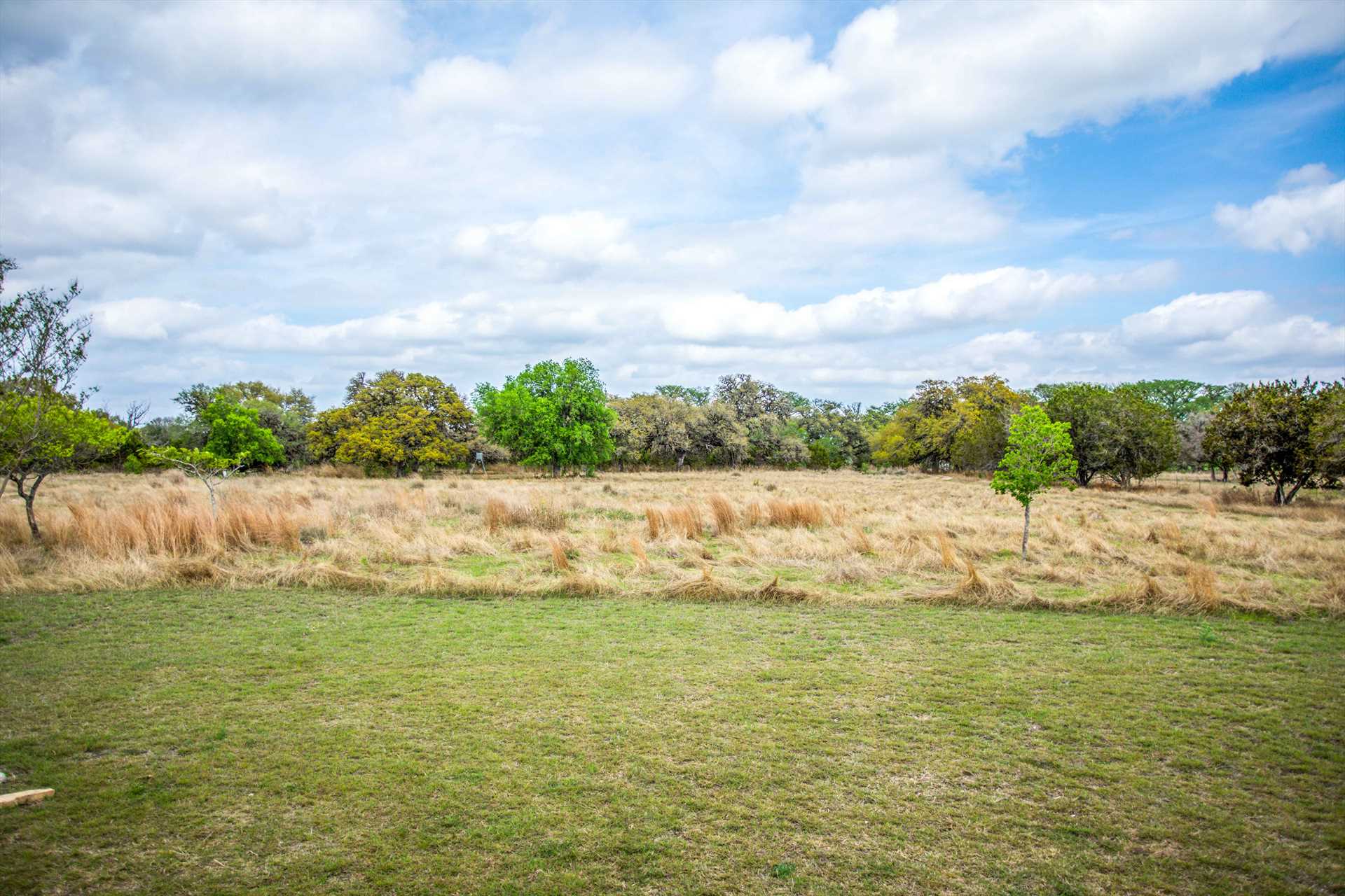                                                 Ten scenic acres of beautiful Hill Country land are yours to explore at the River Bend Hideaway!