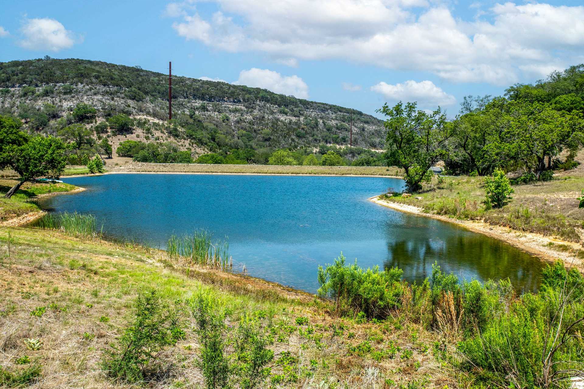                                                 The sprawling 754 acres here provide tons of photo backdrops, and they're great for wildlife watching, stargazing, and taking in those colorful Hill Country sunsets!