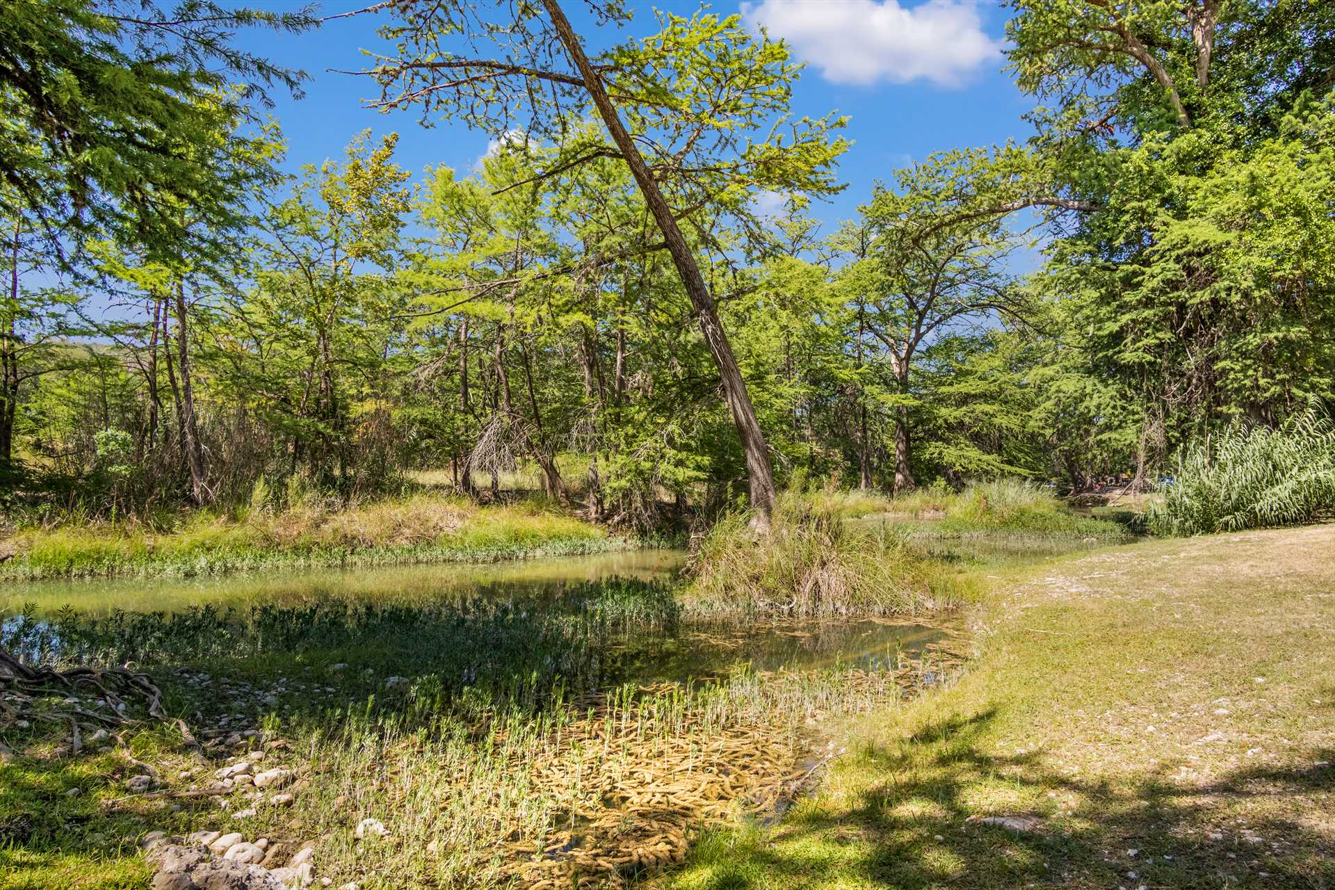                                                 Easy access to the Guadalupe River is yours to enjoy! There's also a tubing shoot to an island nearby.