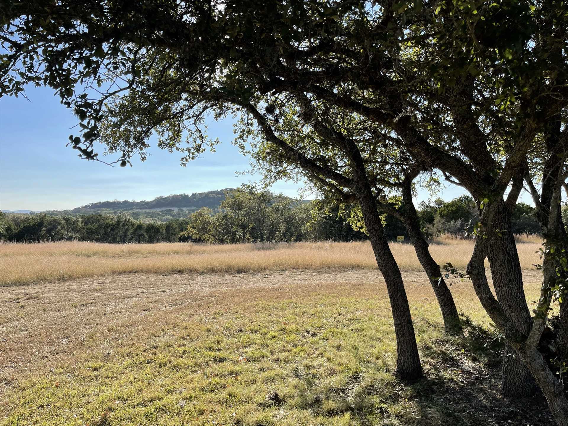                                                The property is perfect for wildlife watching and stargazing...not to mention those brilliantly-colored Hill Country sunsets!