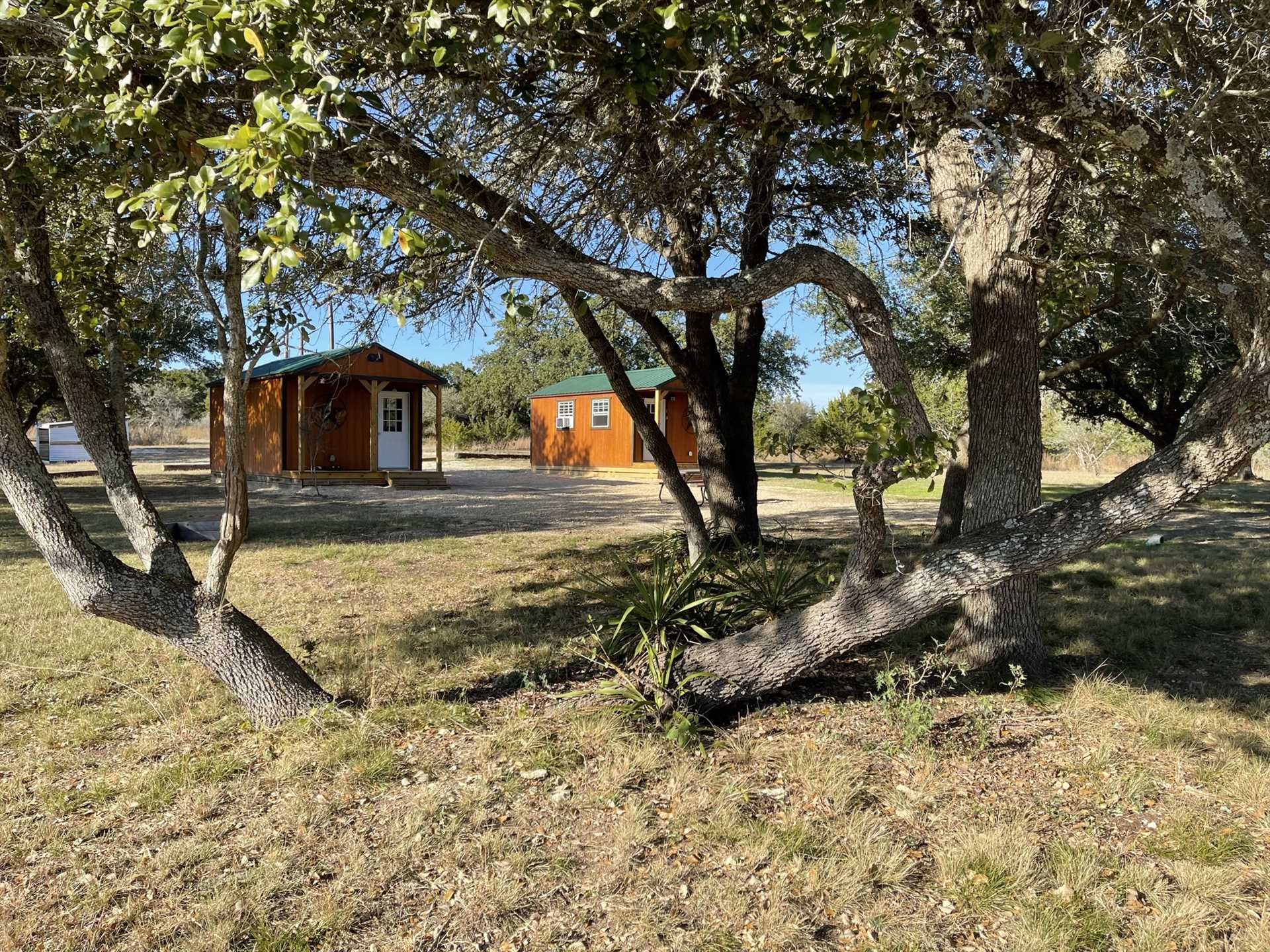                                                 If you need holiday space for up to ten people, keep in mind there are three cabins at Great Heart Ranch you can book, ask us for details!