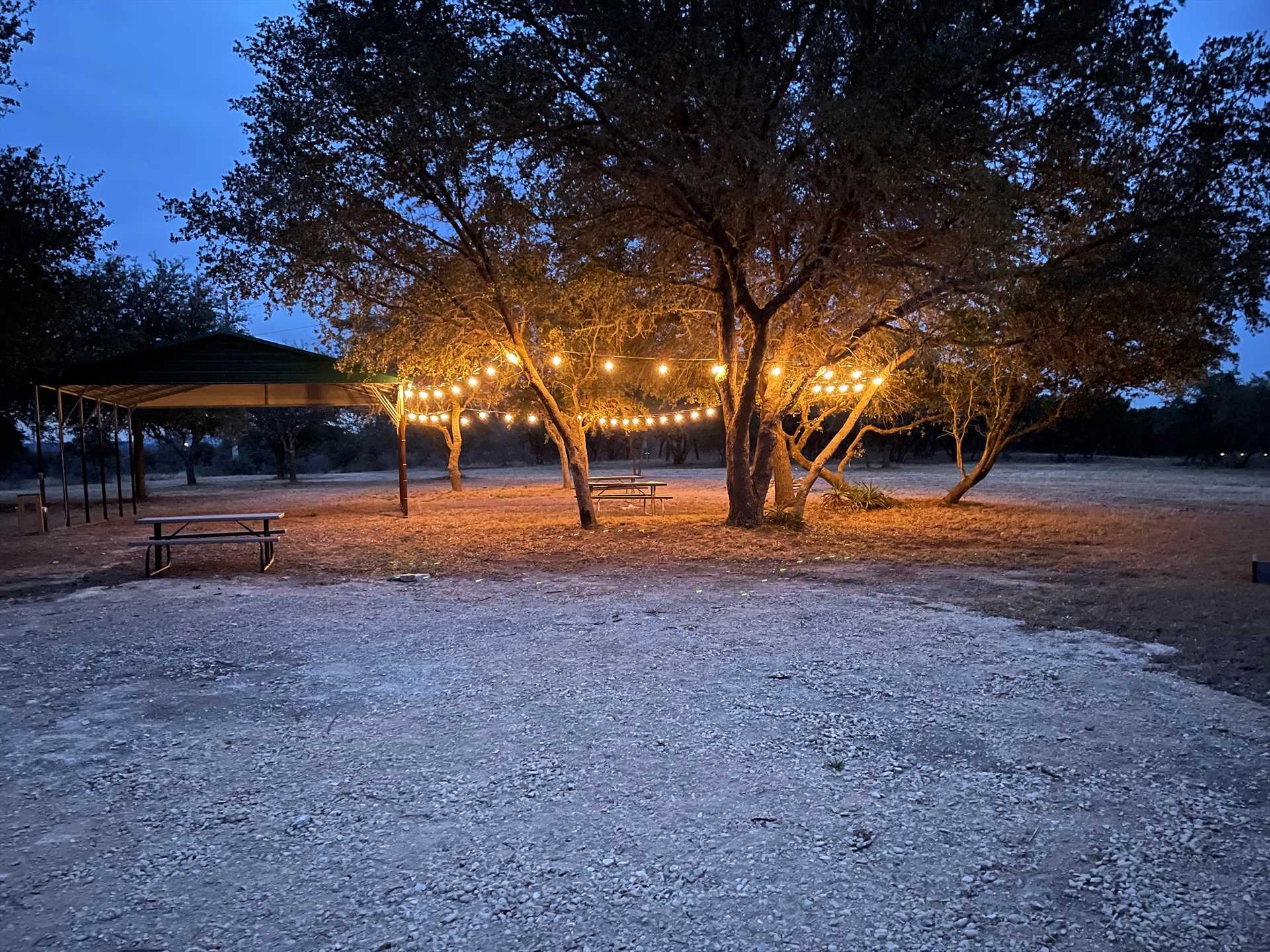                                                 String lights among the trees in the outdoor pavilion provide that special sparkle to your evenings!