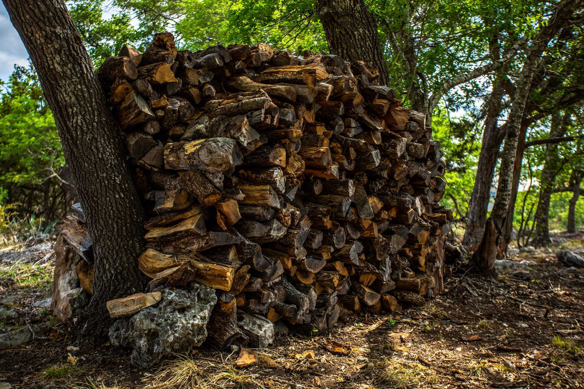                                                 The farmhouse has its own fire pit, and there's plenty of convenient and complimentary firewood on hand!