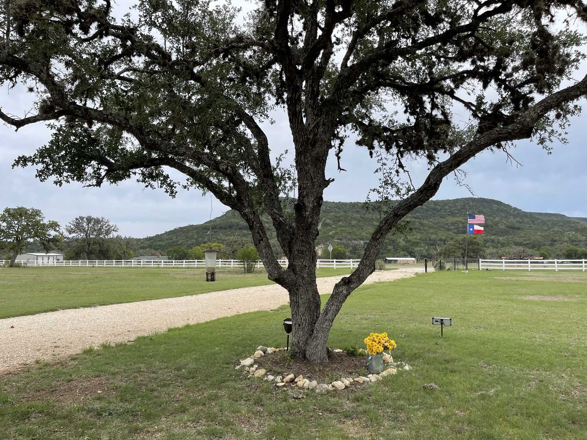                                                Impressive mountain views and wide-open skies make this one of the most beautiful spots in the Texas Hill Country!