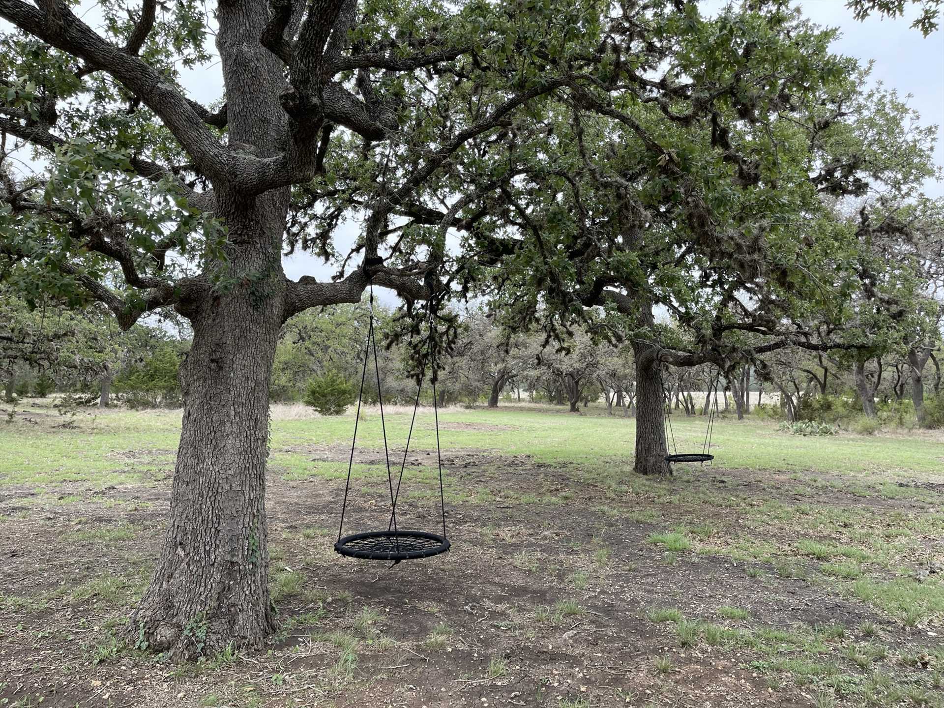                                                 Indulge your kids, or embrace your own inner child, on the tree swings!