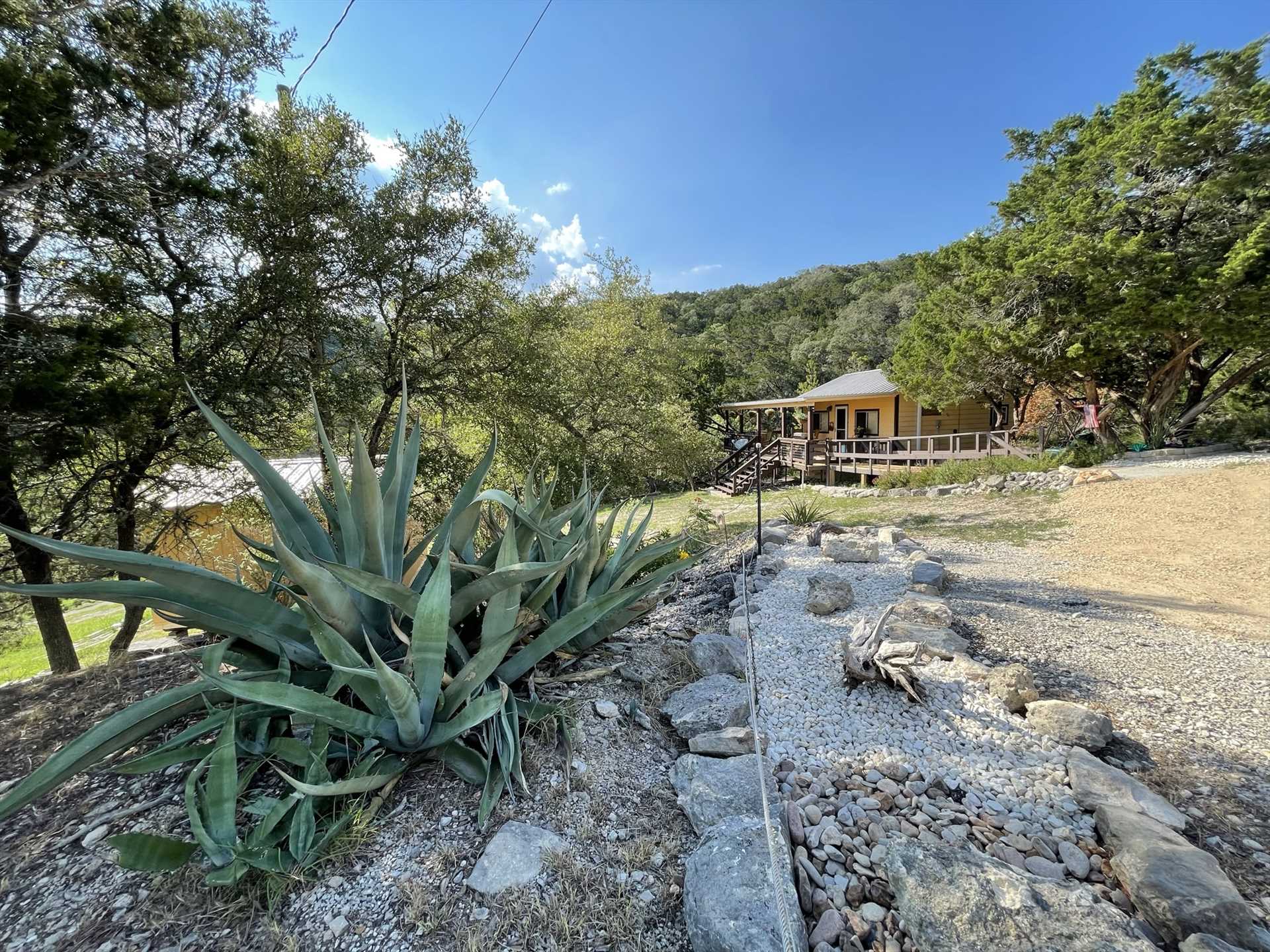                                                 Giddy Up is perched on 11 acres of the beautiful Hill Country, and visitors are encouraged to explore!